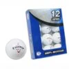 Second Chance Callaway Assorted Model 12 Pack Premium Lake Golf Balls
