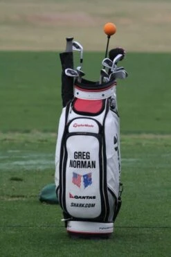 Orange Whip Golf Swing Trainer -Golf Series Sale GN Orangewhip 510x766 1